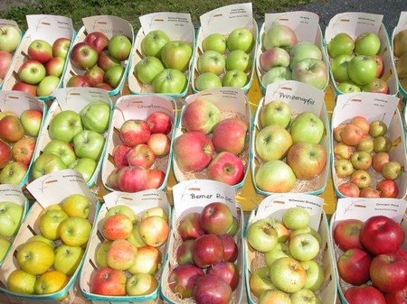 Diverse varietà di mele
